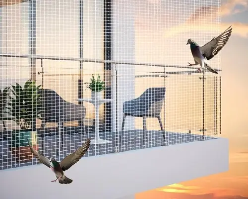 Bird Net installation service